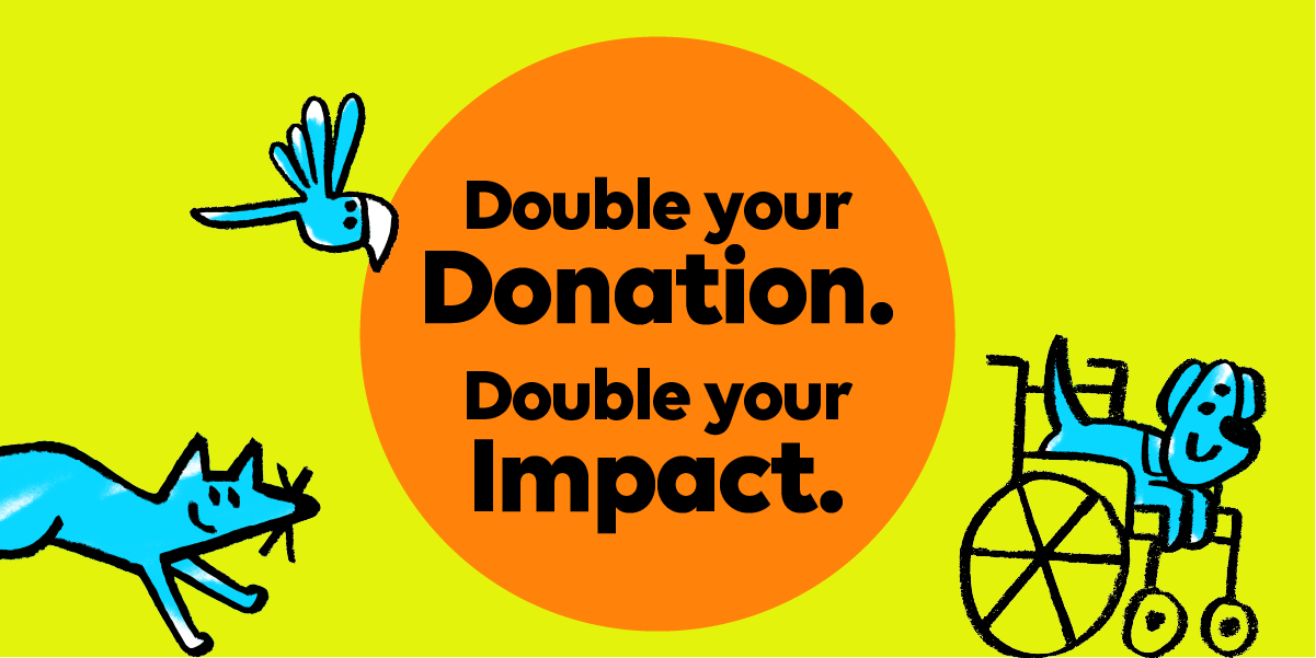 Double your donation. Double your impact. RBC Race for the Kids 2025 Double your donation. Double your impact. RBC Race for the Kids 2025